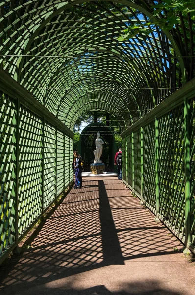 Jardim de Verão em Saint-Petersburg, Rússia — Fotografia de Stock