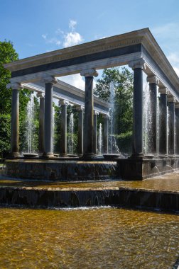 Aslan'ın art arda sıralı