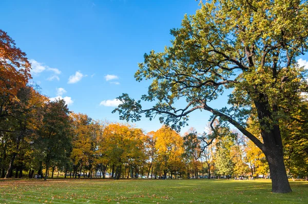 Vista del parque de la ciudad —  Fotos de Stock