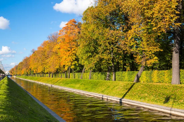 Zomertuin in Sint-Petersburg, Rusland — Stockfoto