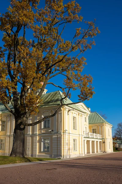 Palácio Grande Menshikov Oranienbaum São Petersburgo Rússia — Fotografia de Stock