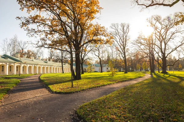 Grand Palace Μένσικοφ Oranienbaum Αγία Πετρούπολη Ρωσία — Φωτογραφία Αρχείου