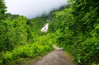 Kafkas Dağları'nın görünümü