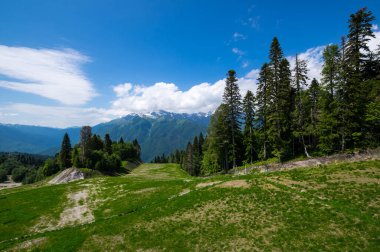 Kızıl Orman, Krasnodar Krai, Rusya 'daki Kafkas dağlarının manzarası