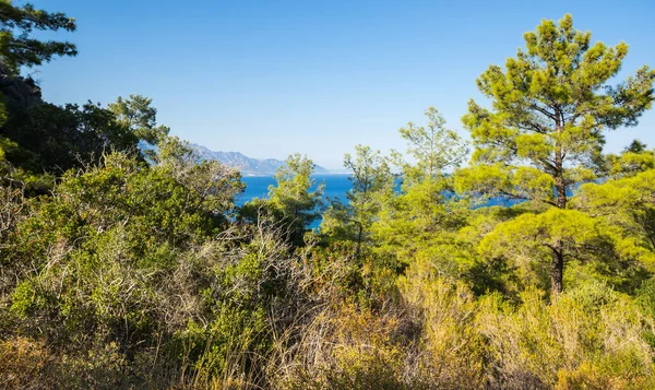 Die Mittelmeerküste Kemer Badeort Und Bezirk Der Provinz Antalya Der — Stockfoto