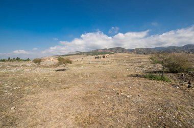 Hierapolis Harabeleri (