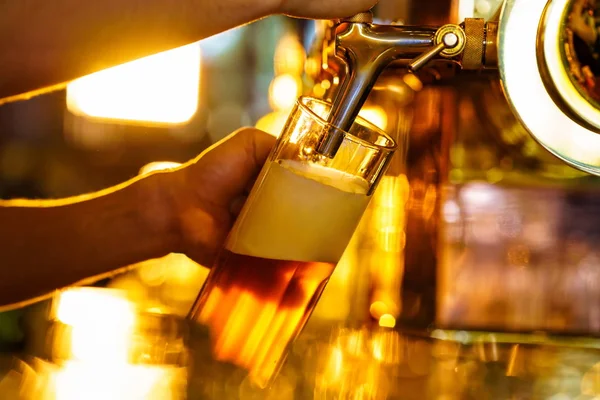 Gieten van bier binnenshuis — Stockfoto