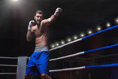 Genç boksör boks ringde