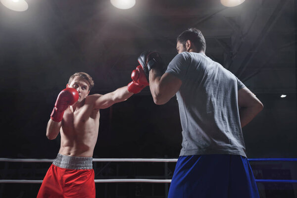 People in a boxing ring