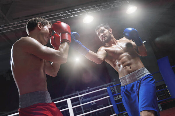 Fighting in a boxing ring