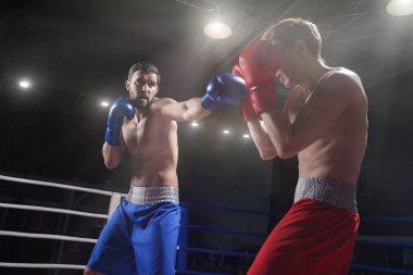 spor