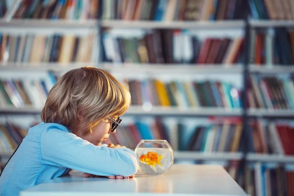 Junge in der Bibliothek — Stockfoto