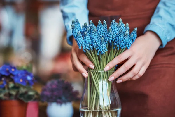 Young florist with muscari — Stock Photo, Image