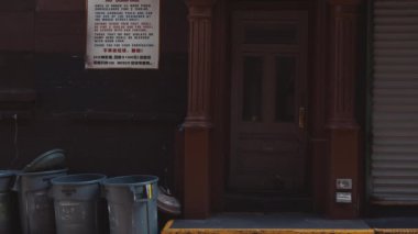 New York 'ta bir binadan çıkan çekici bir kız.