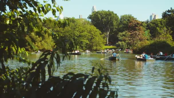 Gente Che Barca Central Park — Video Stock