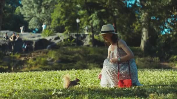 Young Tourist Feeds Squirrel Lawn Park Nyc — Stock Video