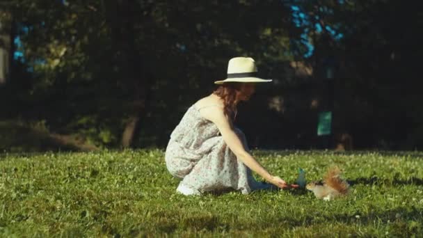 笑顔の女性は公園の芝生の上でリスを食べます Nyc — ストック動画