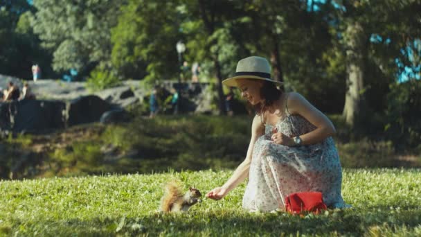 Attractive Girl Feeds Squirrel Lawn Park — Stock Video