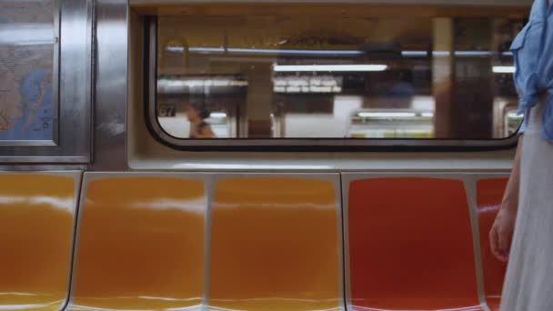 Ελκυστική Επιβάτης Ένα Κάθισμα Στο Τρένο Στη Νέα Υόρκη — Αρχείο Βίντεο