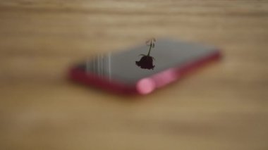Gül yansımalı ahşap bir masada cep telefonu.