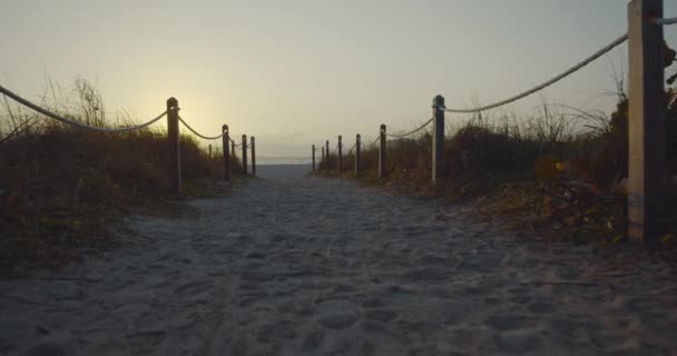 Een Jong Meisje Bij Zonsopgang Het Strand Opgenomen Black Magic — Stockvideo