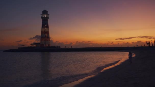 Een Jong Meisje Dat Avonds Langs Het Strand Loopt Opgenomen — Stockvideo