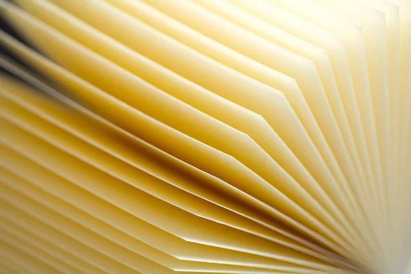 Sheets of paper — Stock Photo, Image