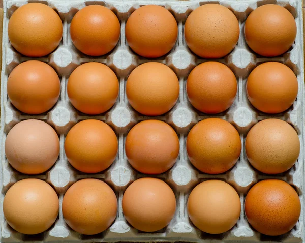 Taze doğal ham tavuk yumurta