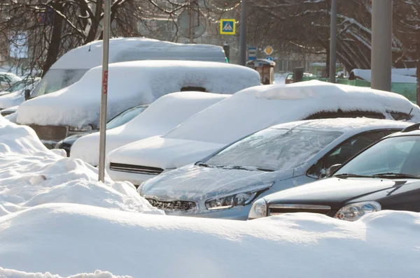 Alguns carros sob a neve — Fotografia de Stock