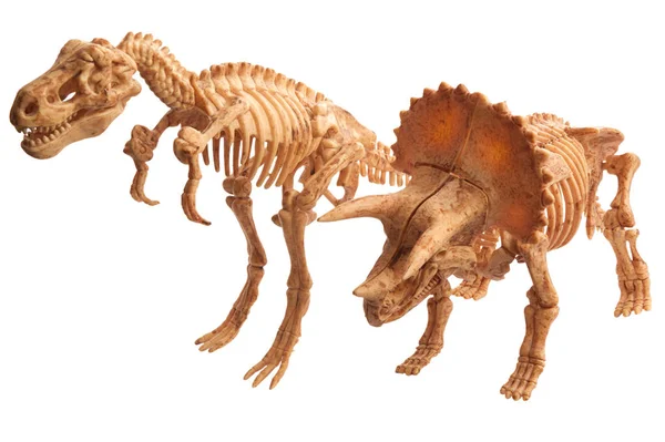 Tyrannosaur'u ve Tyrannosaur'u — Stok fotoğraf