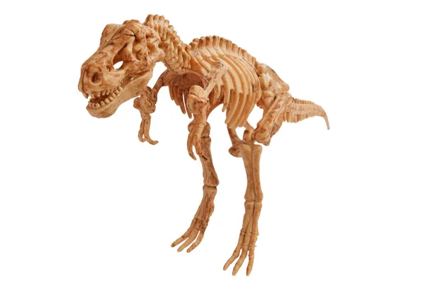 Tyrannosaur — Stock Photo, Image