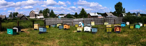 Imker-Bienenstöcke im Bienenhaus — Stockfoto