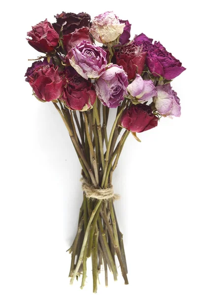 Bouquet of dried roses on a white — Stock Photo, Image