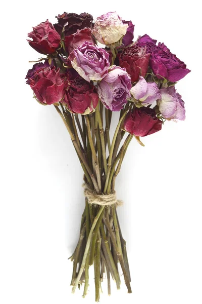 Kytice sušených růží na bílé Royalty Free Stock Obrázky