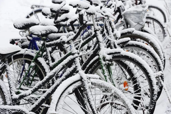 自行车所覆盖的雪，冬天在芬兰 图库图片