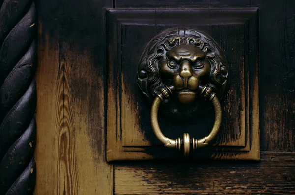 Gagang pintu perunggu dalam bentuk kepala singa — Stok Foto
