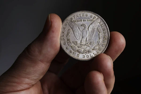 Der alte silberne amerikanische Dollar von 1878 — Stockfoto