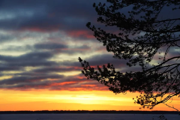 Zonsondergang in de winter over het meer — Stockfoto