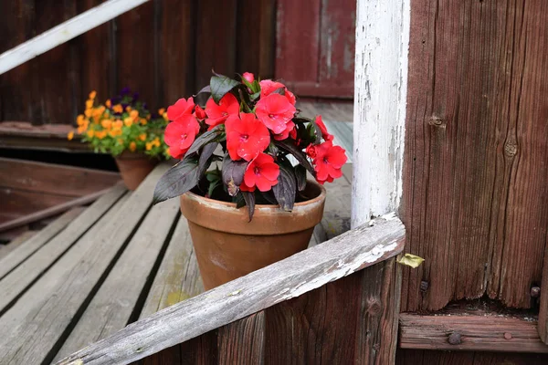 Ahşap bir ev, Finlandiya verandada bir tencerede çiçekler — Stok fotoğraf