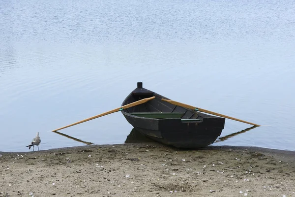 Wooden boat on the shore and a seagull — Stock Photo, Image