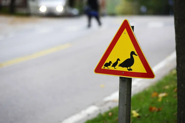 Πινακίδα, πάπιες, περνώντας το δρόμο — Φωτογραφία Αρχείου