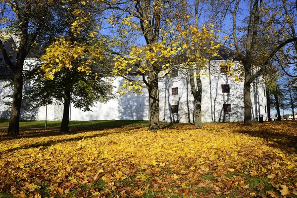 Średniowieczny zamek w Turku w jesieni, Finlandia — Zdjęcie stockowe