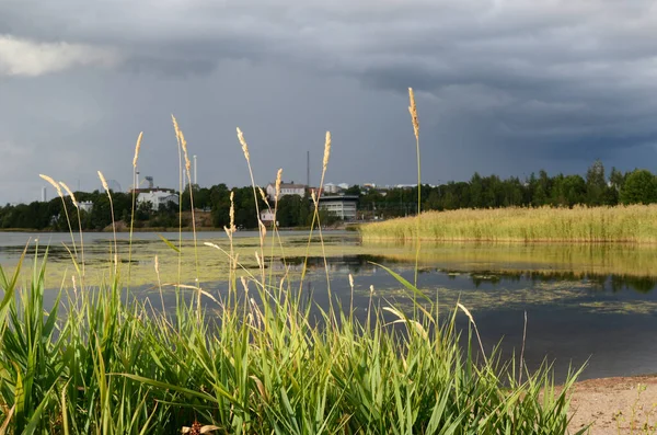 Helsinki Pond Sandy Beach Reeds Summer Day — Stock Photo, Image