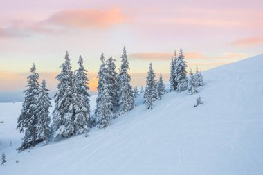 Alpler güneşli eteklerinde güzel gün batımı izleyicinin hayal etkiler