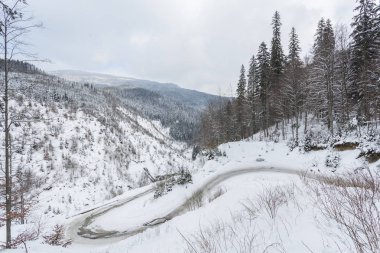 Yollu kış manzarası