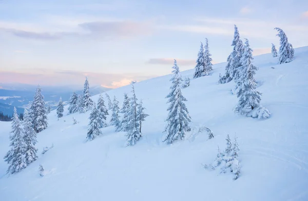 Φανταστική πρωί ορεινό τοπίο. συννεφιασμένο ουρανό πολύχρωμο. Καρπάθια, Ουκρανία, Ευρώπη. — Φωτογραφία Αρχείου