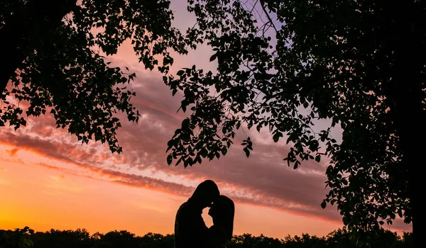 Par i kärlek siluett under solnedgången — Stockfoto