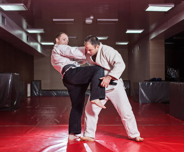 Two karate fighters showing technical skill while practicing
