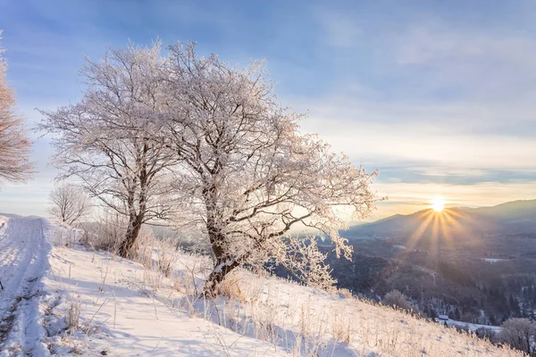 Beautiful winter landscape in the mountains. — Stock Photo, Image