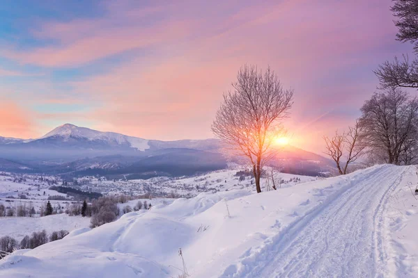 Beautiful winter landscape in the mountains. — Stock Photo, Image